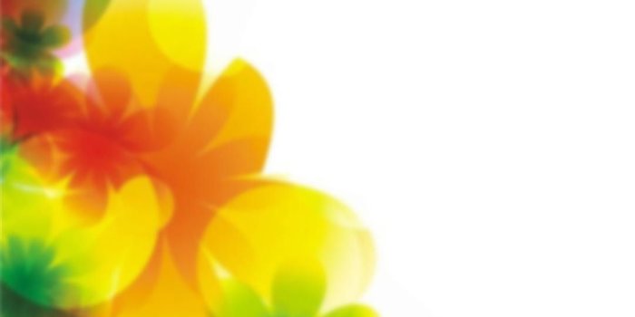 1080x1920 Colorful Floral Print Iphone Wallpaper - Colorful Flowers Wallpaper