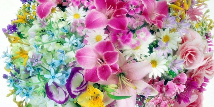 1024x768 Flowers Wallpapers Full HD iPhone - Best Screen Wallpaper