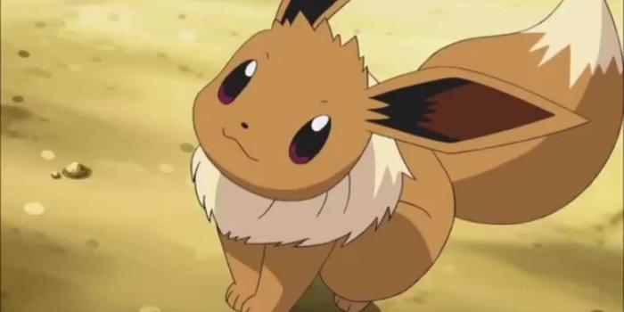 1280x720 What Are The Different Eevee Evolutions? Vaporeon, Flareon, And
