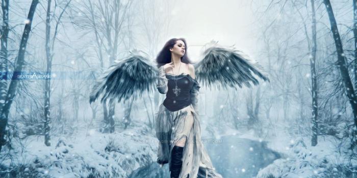 1024x768 Winter Angel by DexterAdriano
