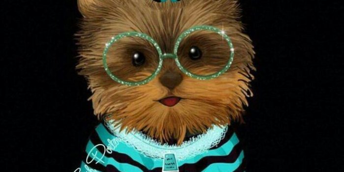 736x1308 Cindy Osborne on Friday blessing | Puppy images, Animals