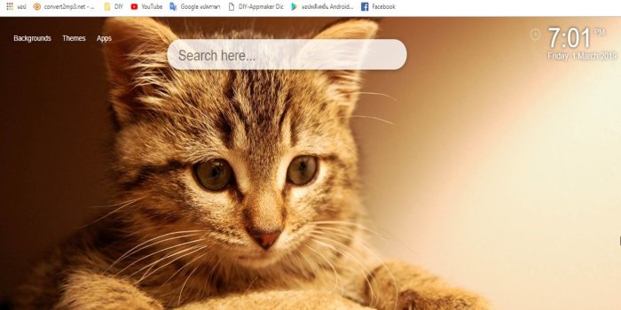 1280x800 Cats Wallpaper HD 2019 - HD Wallpaper Classic