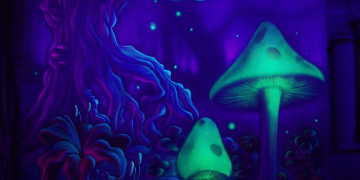 2560x1920 Dope Tumblr Backgrounds (83+ images)