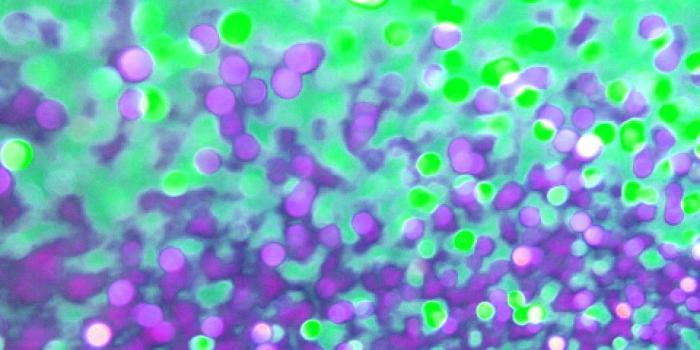 960x960 45+ Green Yellow Ombre Wallpapers - Download at WallpaperBro