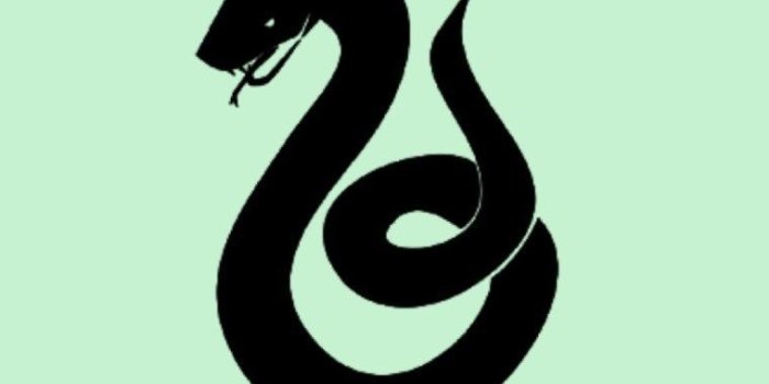 760x1351 Slytherin iPhone Wallpapers - Top Free Slytherin iPhone Backgrounds