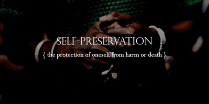 2777x1920 70368751 Slytherin Traits. Self-preservation: the protection of