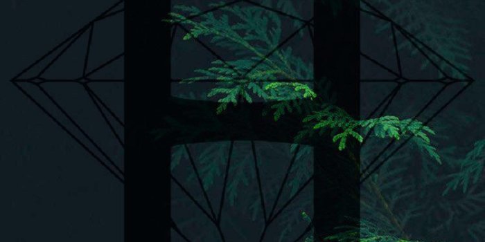 750x1334 LiftedMiles-Xist DiamondSupplyCo Diamond Supply Co Wallpaper HUF