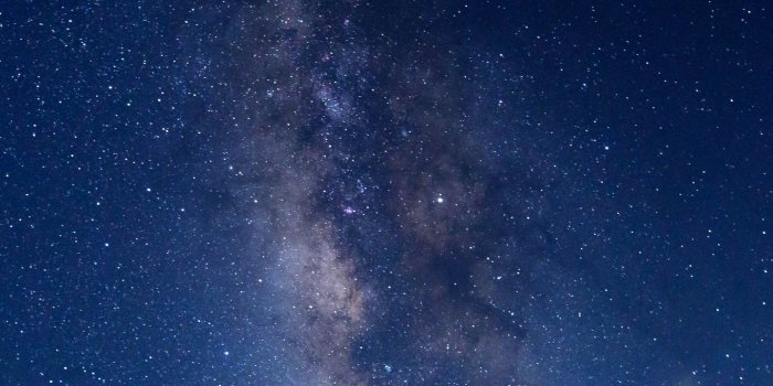 1440x2560 Download wallpaper 1440x2560 milky way, starry sky, trees qhd