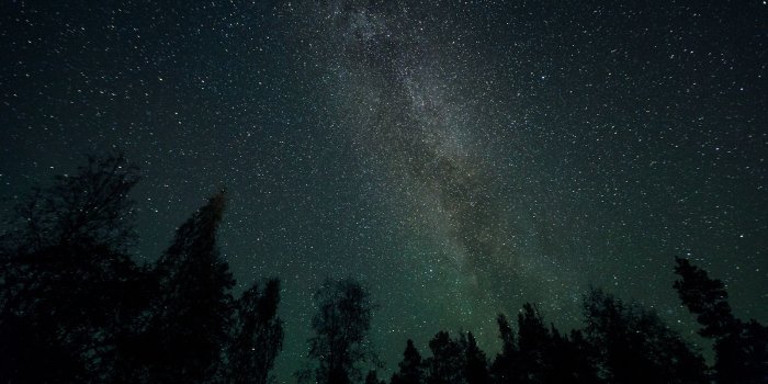 1600x1067 Galaxy Stars Milky Way Night Trees space wallpaper | 1600x1067