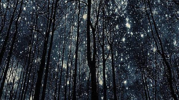 623x1280 Galaxy by trees Wallpaper by Luissa_Shr - ca - Free on ZEDGE™