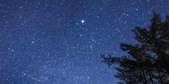 720x1280 Starry Sky Trees Stars Night Wallpaper- [720x1280]