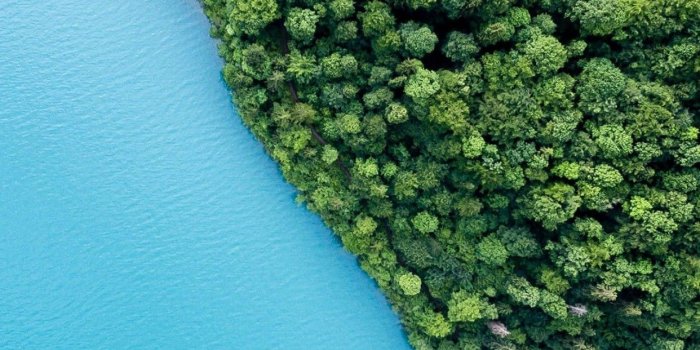 1242x2809 S8, note, wallpaper, backgrounds, nature, tranquil, sea, trees