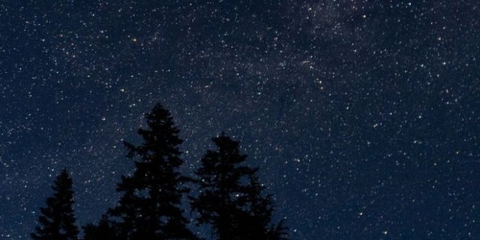 720x1280 720x1280 starry sky, trees, night, radi Galaxy s3 wallpaper