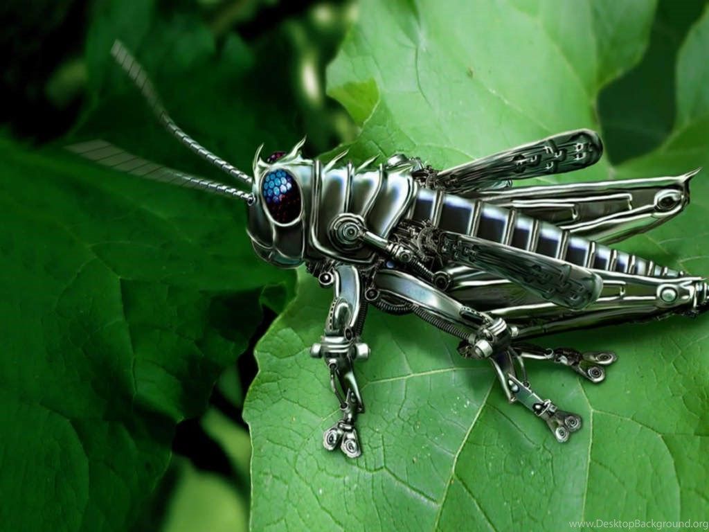 1024x768 Best Grasshopper Robot Wallpapers For Android Desktop Background