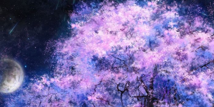 1080x1920 Awesome Sky Tree Iphone 6 Wallpapers Hd - Galaxy Hd Wallpapers 1080p