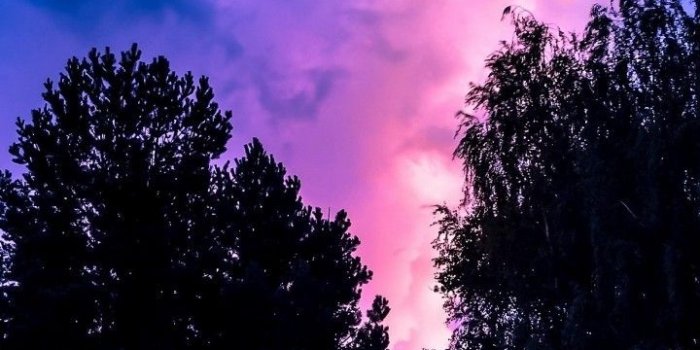 720x1280 Download 720x1280 Lightning, Purple Sky, Clouds, Night, Trees