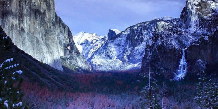 800x1280 Download 800x1280 Wallpaper Yosemite Valley, Trees, Sunset, Winter