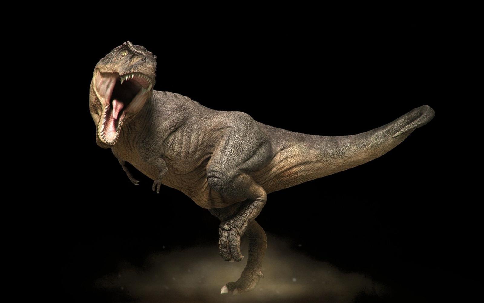 1920x1200 Dinosaur HD Wallpapers | Backgrounds
