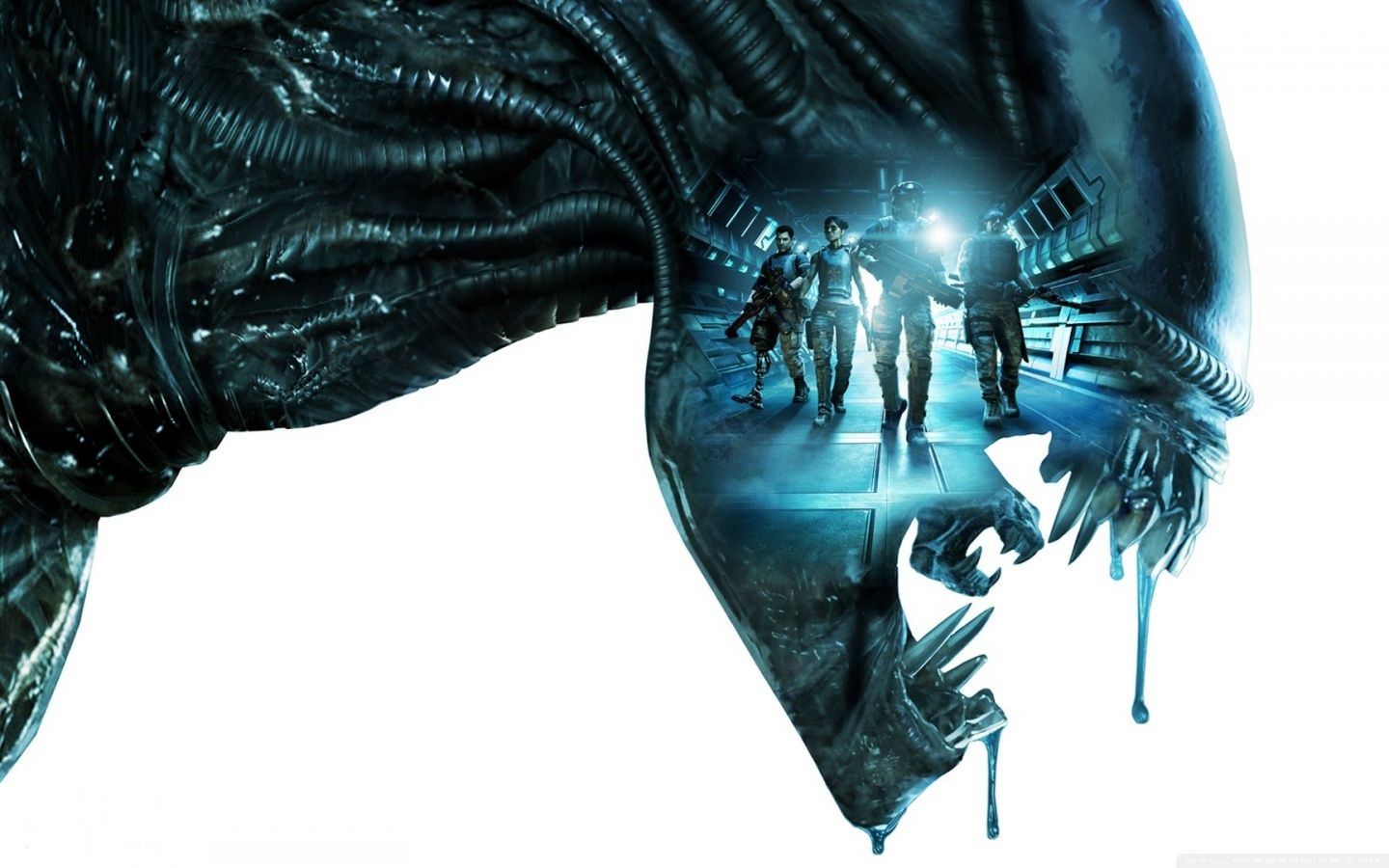 1440x900 Aliens Colonial Marines ❤ 4K HD Desktop Wallpaper for 4K Ultra HD