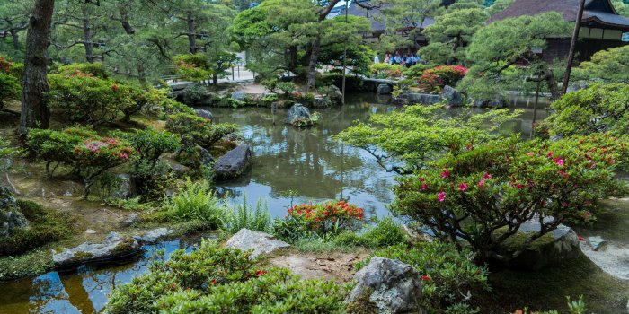 7952x5261 5712668 7952x5261 japanese garden background | japanese garden