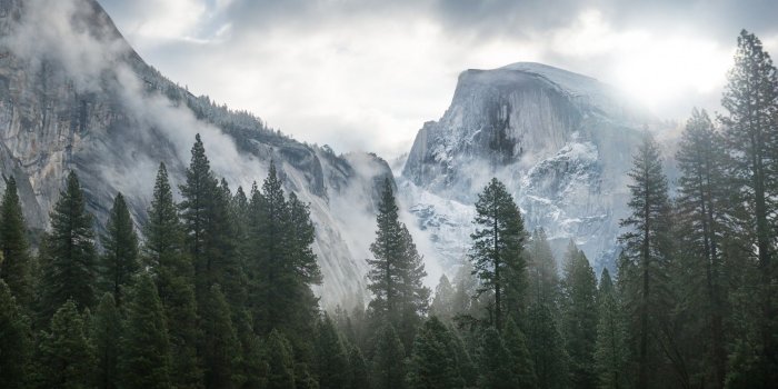 1920x1080 Wallpaper Yosemite, 5k, 4k wallpaper, 8k, forest, OSX, apple