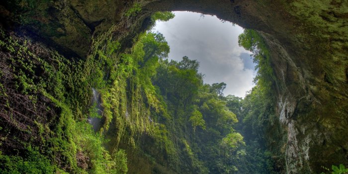 2560x1600 Forest Wallpapers HD