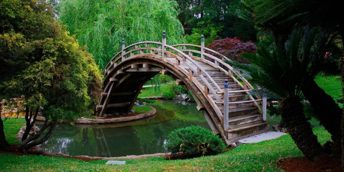 2560x1600 Wooden bridge in a japanese garden wallpaper - World wallpapers - #46816