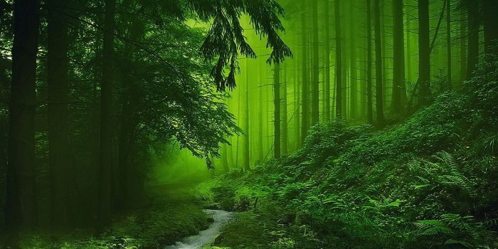 1280x1024 Wallpaper Download 1280x1024 A clear river in the green forest