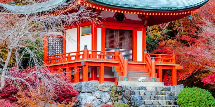 1242x2688 Tourist Attraction, Maple Tree, Tree, Buddhism, Japanese Garden