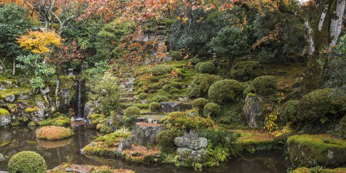 4200x2705 5073221 Garden, Fall, Nature, Japanese Garden wallpaper and
