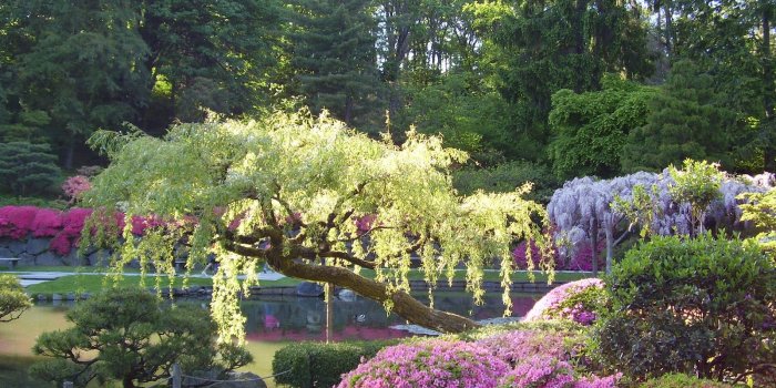 1600x1200 50+] Japanese Garden Wallpaper Backgrounds on WallpaperSafari