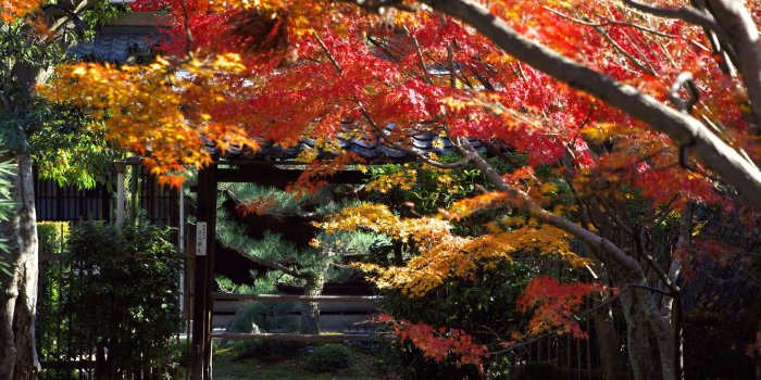 1920x1200 japan wallpaper 4375 | somewhereintime | Kyoto japan, Kyoto, Visit japan
