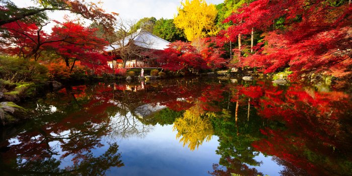 3840x2400 Wallpaper Kyoto Japan Nature Autumn park Pond Trees 3840x2400