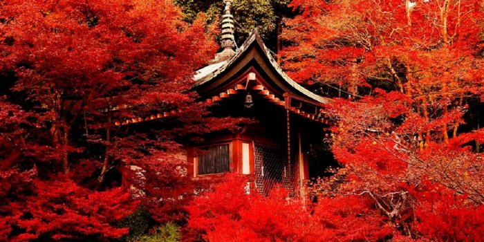 1920x1080 Download 1920x1080 HD Wallpaper kyoto autumn tea house, Desktop