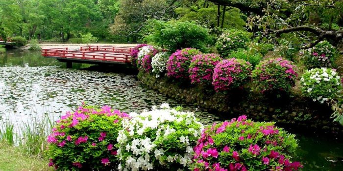 1920x1200 Japanese Garden HD Wallpaper (57+ images)
