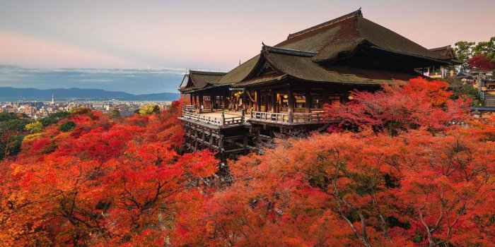 1600x1024 Kyoto wallpapers HD for desktop backgrounds
