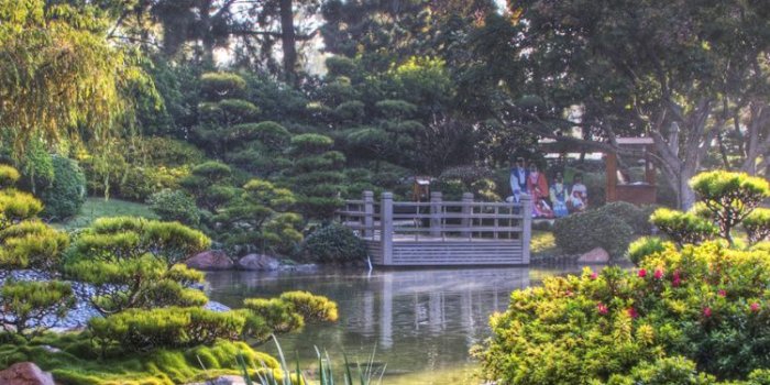 750x1334 Vegetation, Japan, Nature Reserve, Factory, Japanese Garden