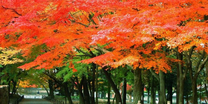 1024x768 Nanzen-ji Temple | Kyoto Travel Guide <Official>