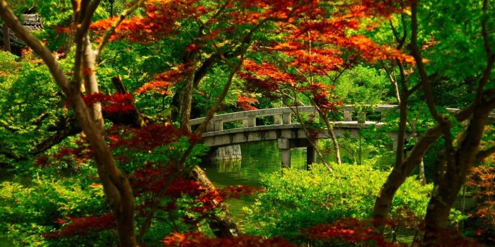 1366x768 Miscellaneous Garden Park Autumn Kyoto Japanese Japan Dual Wallpaper