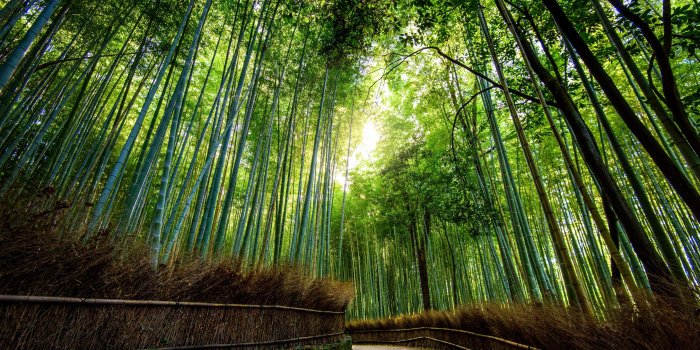 2880x1800 Kyoto Wallpaper ,free download, (48) - cerc-ug.org