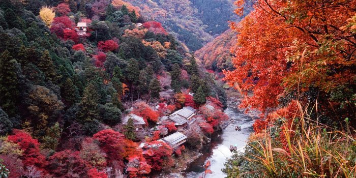 1600x973 Fall Foliage in Kyoto, Japan | Collection