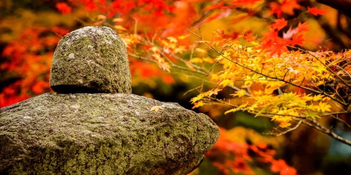 1125x1800 Best 54+ Kyoto Background on HipWallpaper | Traditional Kyoto HD