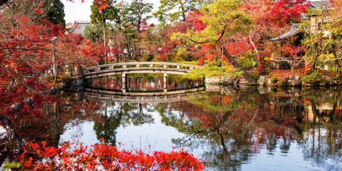 1332x850 Wallpaper autumn, leaves, trees, bridge, lake, Park, Japan, Japan