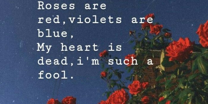 720x1280 21+] XXXTentacion And Juice WRLD Wallpapers on WallpaperSafari