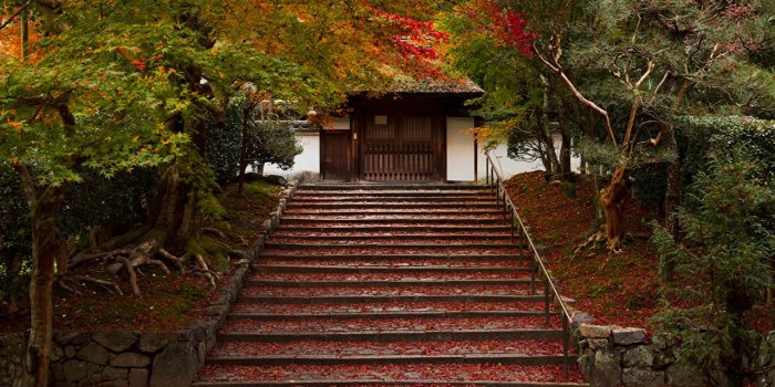 1280x854 Photo Kyoto Japan Foliage Autumn Nature stairway Parks