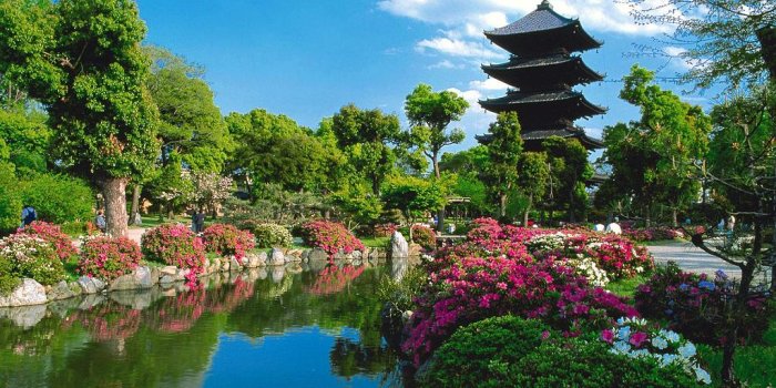 1024x768 Toji Temple Kyoto Japan Asian Travel Wallpaper #9389 Wallpaper