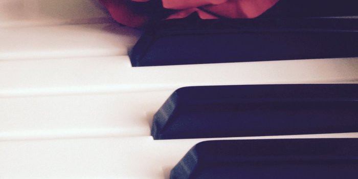 1501x2373 s h e l l y ✧ ~ | A e s t h e t i c | Mobile wallpaper, Rose