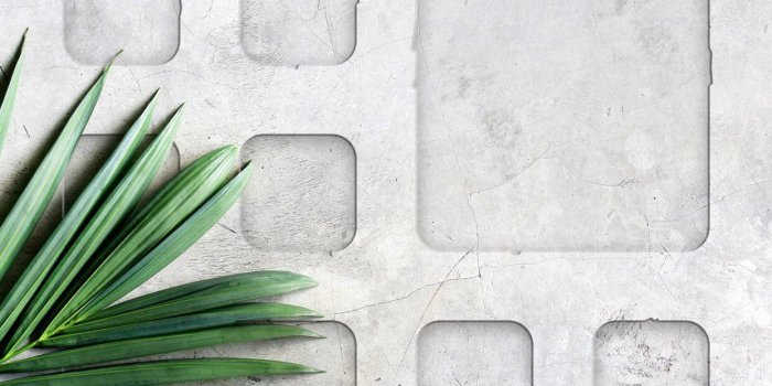 1242x2208 Bethany Carman on Hawaii in 2019 | Laptop wallpaper, Iphone