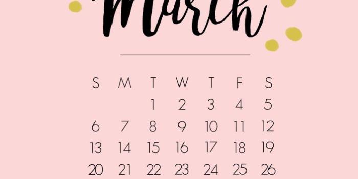 848x1600 iPhone6 lock screen wallpaper / March 2016 Calendar / Paper and chic