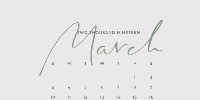 733x1596 Free March 2019 Calendar for Desktop, iPad, and iPhone